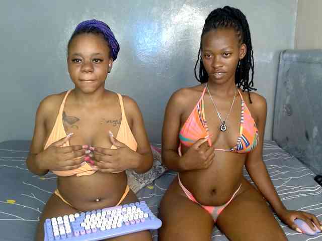 Royal309 webcam