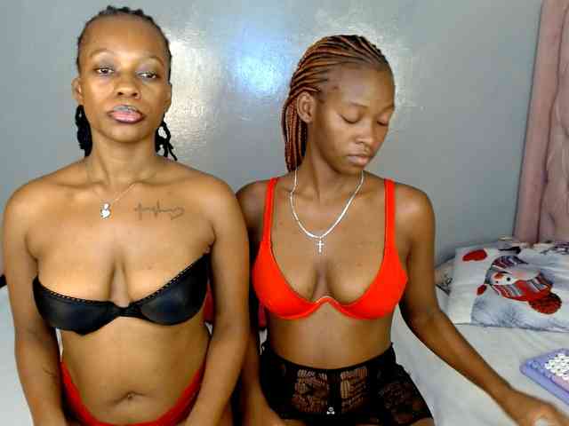 Royal309 webcam