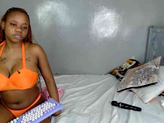 Royal309 webcam
