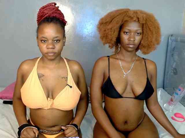 Royal309 webcam
