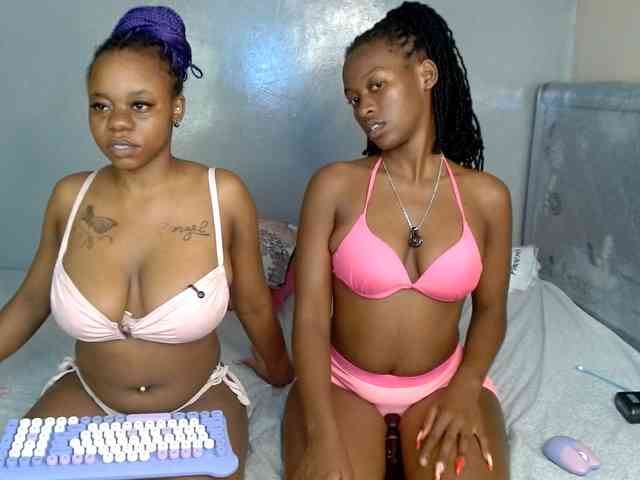 Royal309 webcam