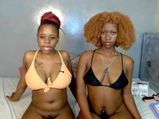 Royal309 webcam