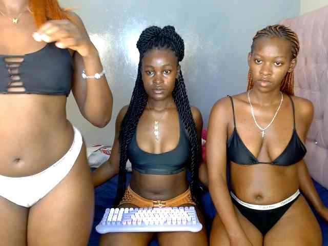 Royal309 webcam