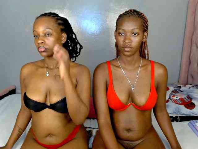 Royal309 webcam