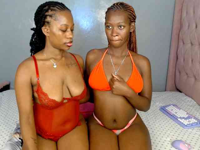 Royal309 webcam