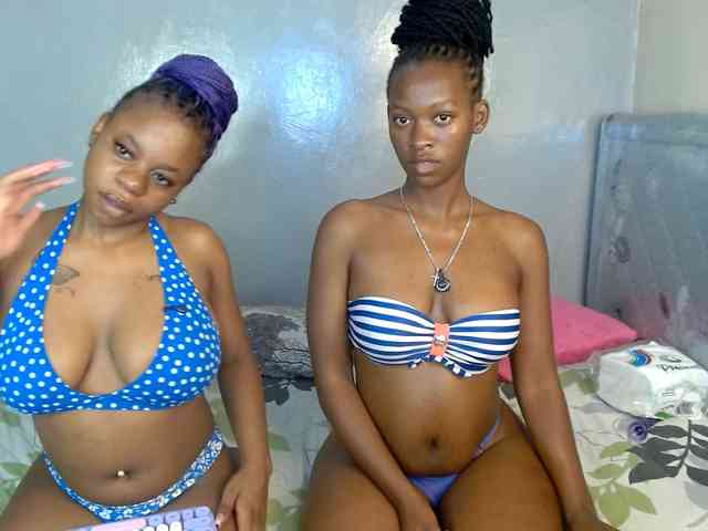 Royal309 webcam