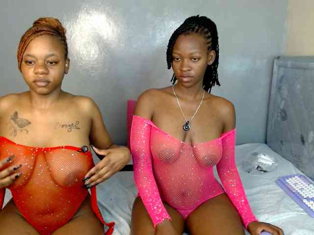 Royal309 webcam