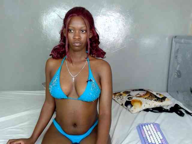 Royal309 webcam