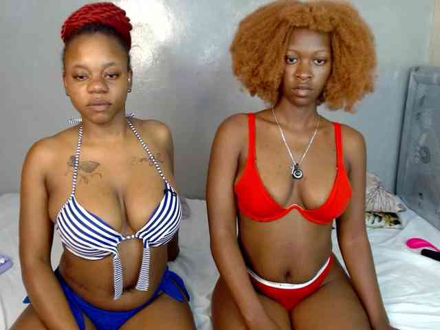 Royal309 webcam