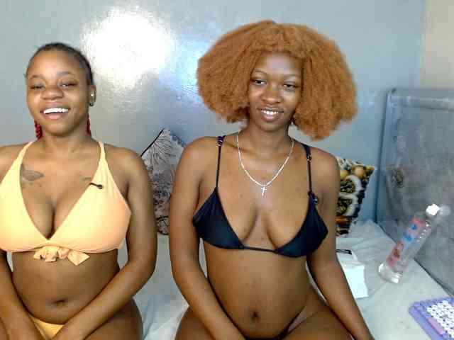Royal309 webcam