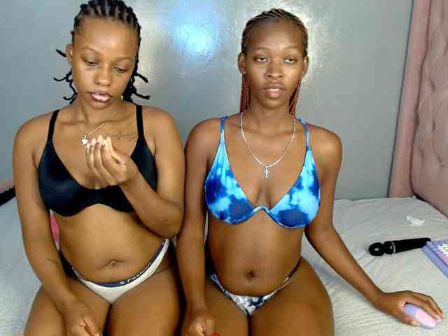 Royal309 webcam