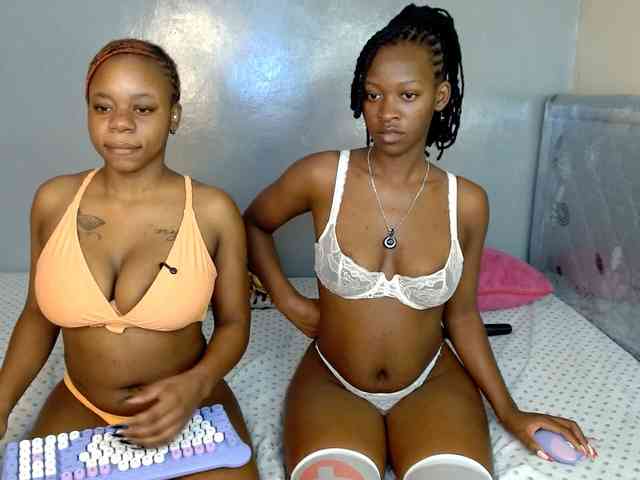 Royal309 webcam
