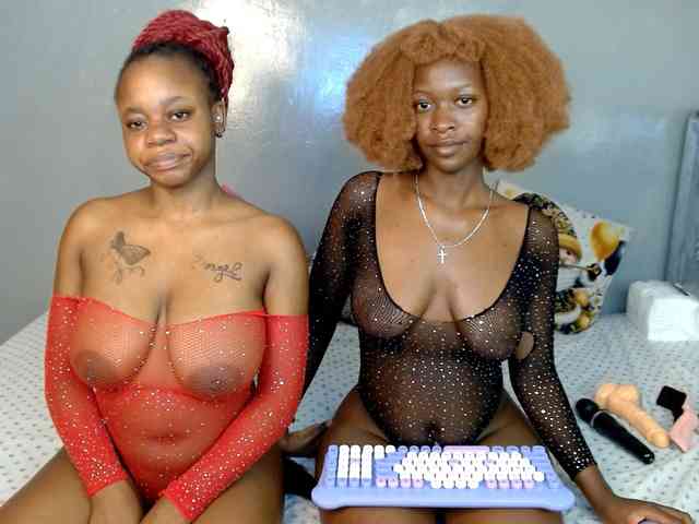 Royal309 webcam