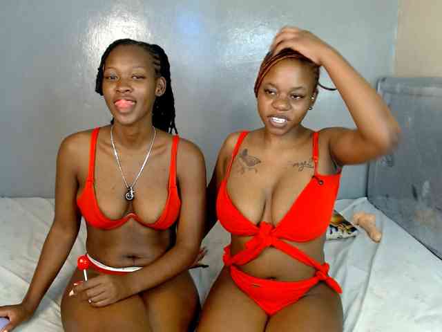 Royal309 webcam
