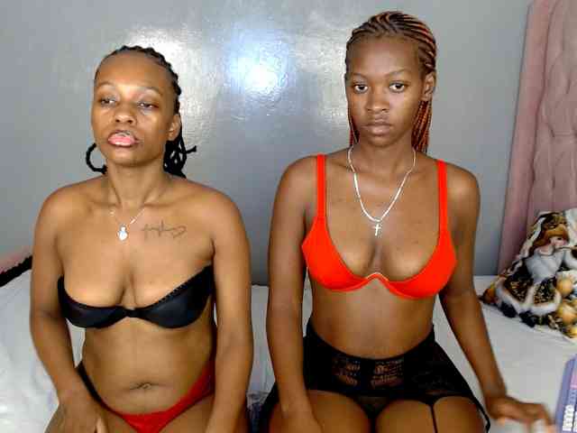 Royal309 webcam