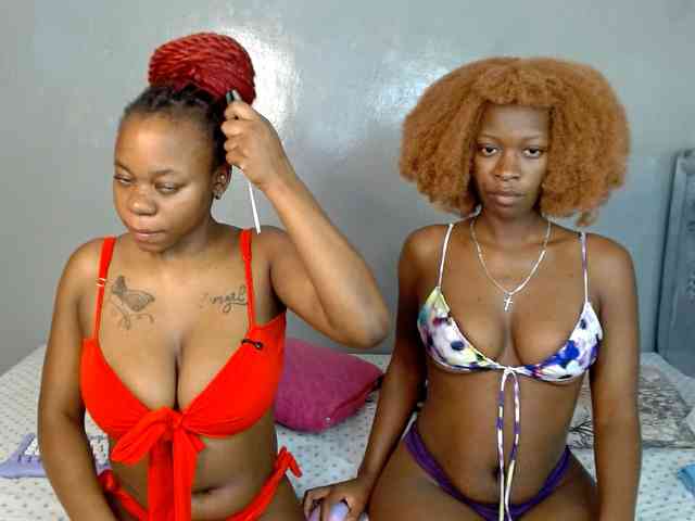 Royal309 webcam