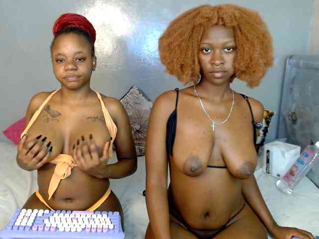 Royal309 webcam