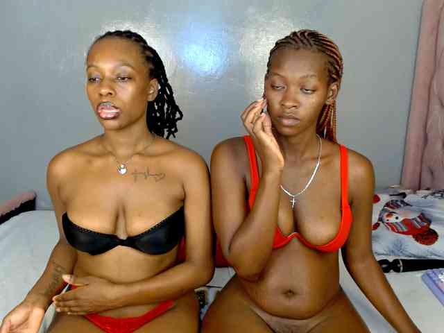 Royal309 webcam
