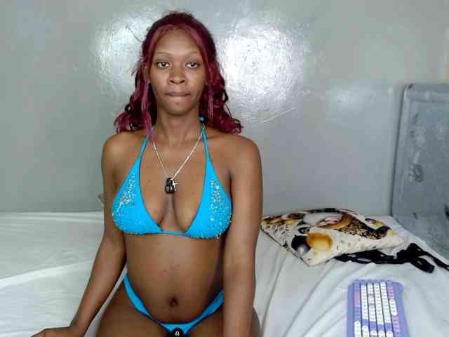 Royal309 webcam