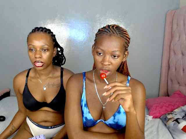 Royal309 webcam