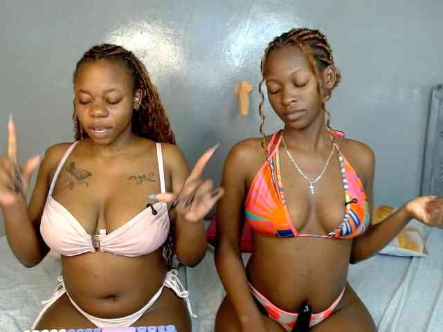 Royal309 webcam
