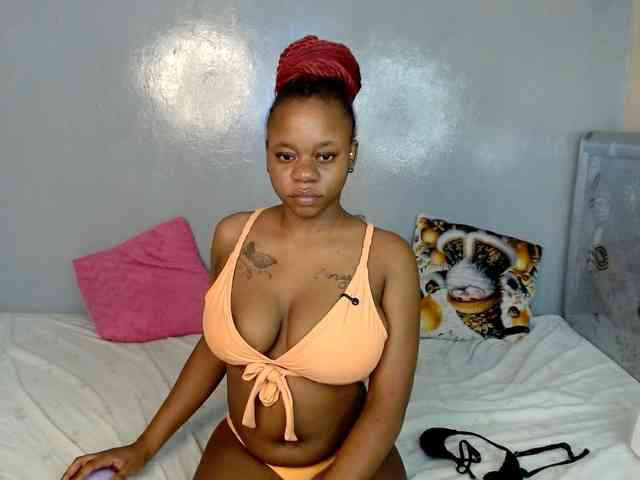 Royal309 webcam