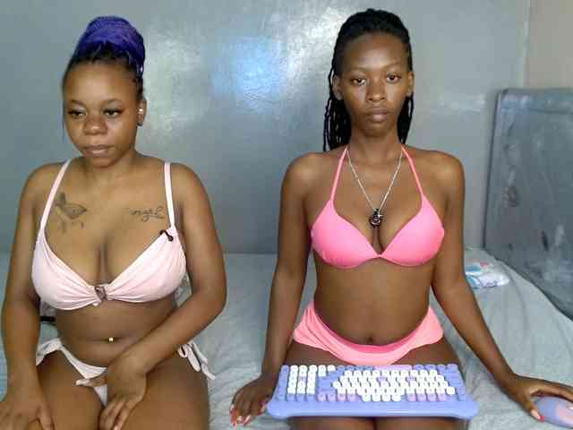 Royal309 webcam