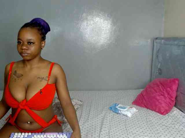 Royal309 webcam