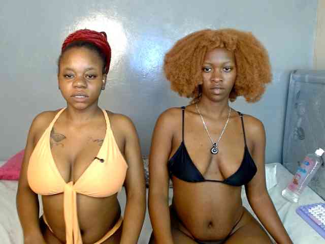Royal309 webcam