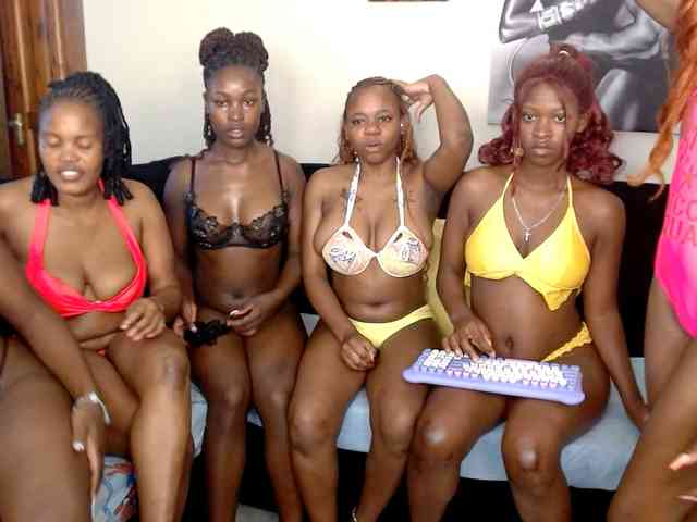 Royal309 webcam