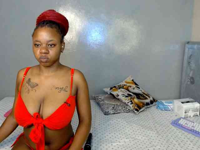 Royal309 webcam
