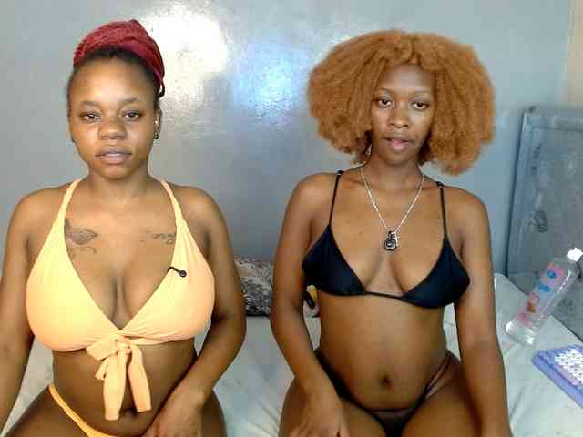 Royal309 webcam