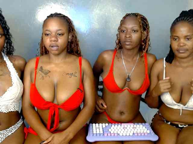 Royal309 webcam