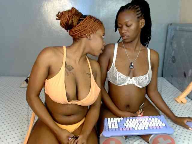 Royal309 webcam