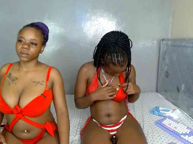 Royal309 webcam