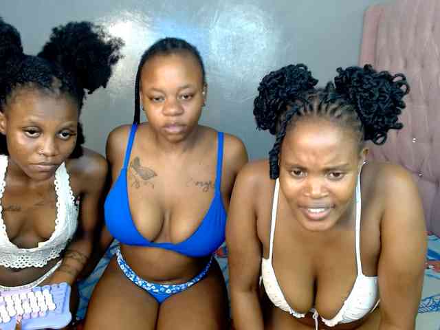 Royal309 Sex Cam Show