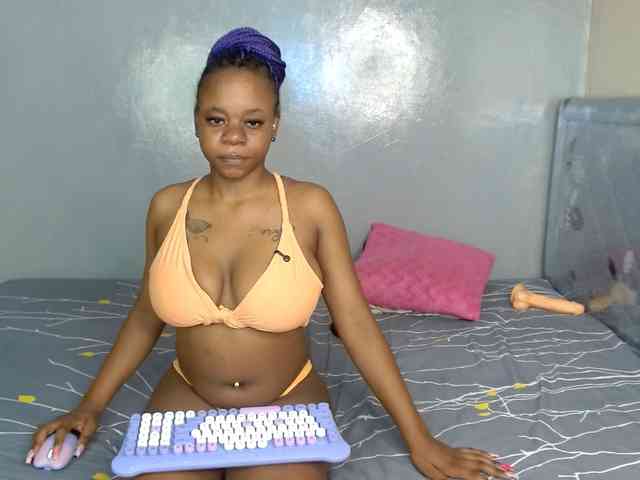 Royal309 webcam
