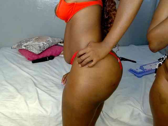 Royal309 webcam
