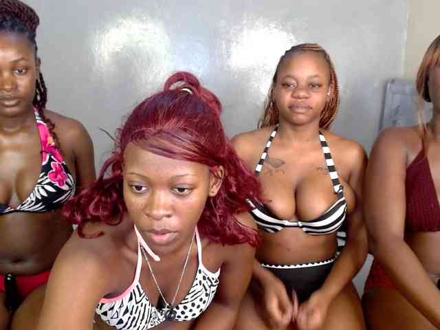 Royal309 Sex Cam Show