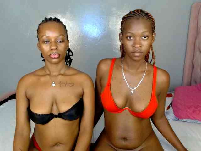 Royal309 webcam