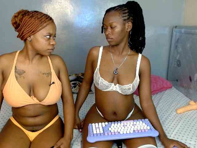 Royal309 webcam