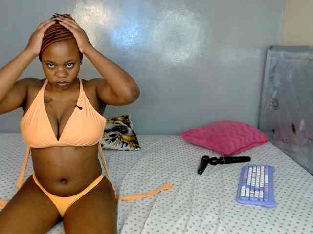 Royal309 webcam
