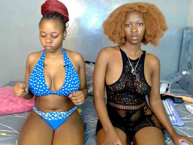Royal309 webcam
