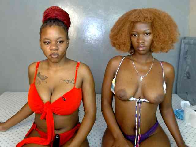 Royal309 webcam