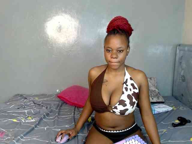 Royal309 webcam