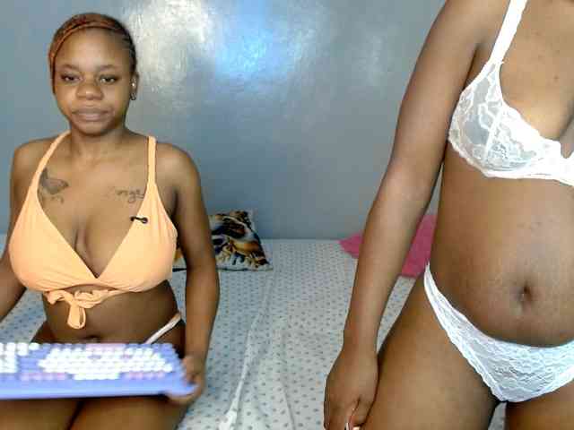 Royal309 webcam