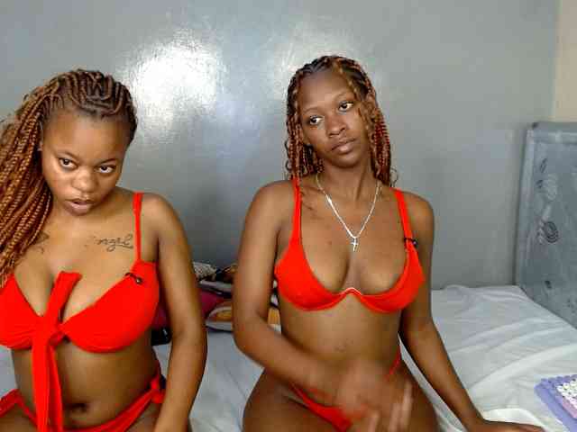 Royal309 webcam