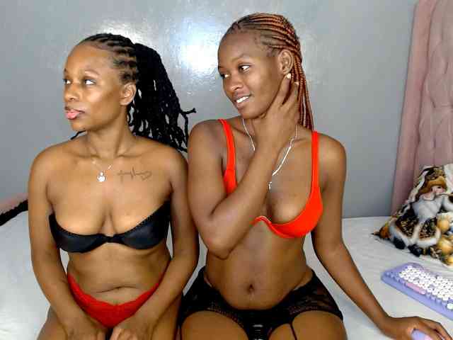 Royal309 webcam
