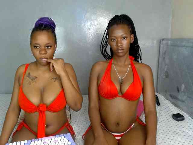 Royal309 webcam