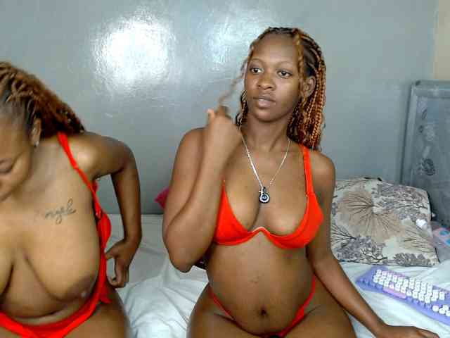 Royal309 webcam